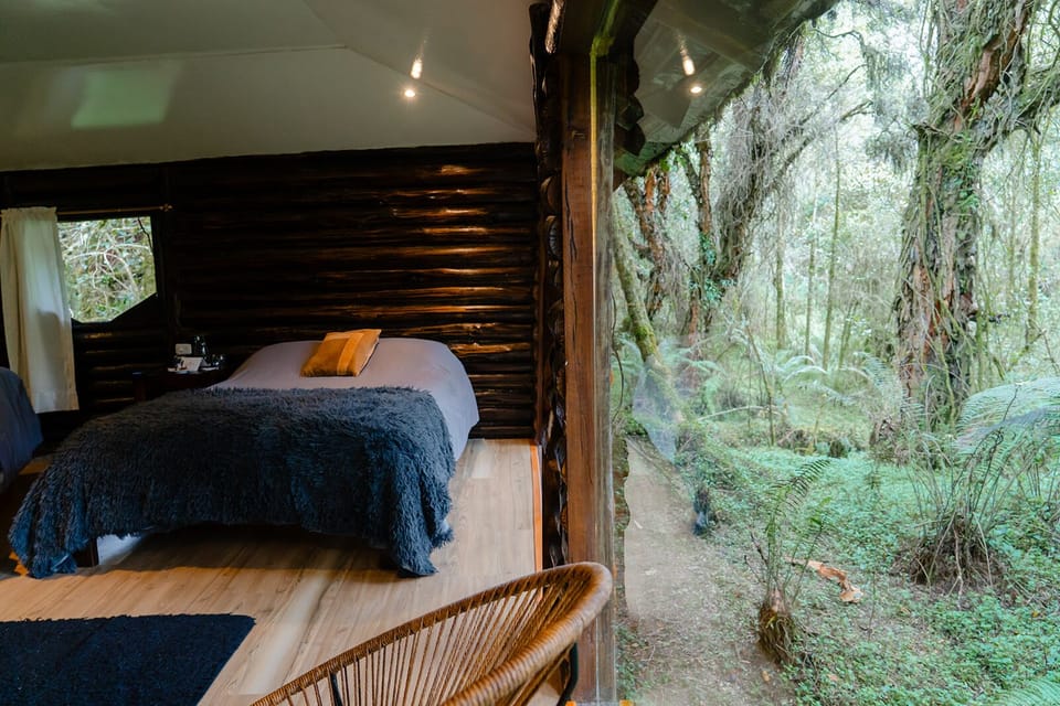 Panoramic Cabin | Egyptian cotton sheets, premium bedding, WiFi (free)
