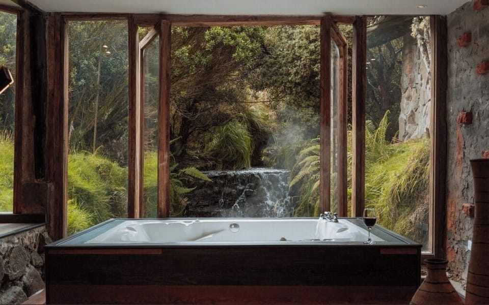 Deluxe Suite | Bathroom | Separate tub and shower, jetted tub, rainfall showerhead, hair dryer