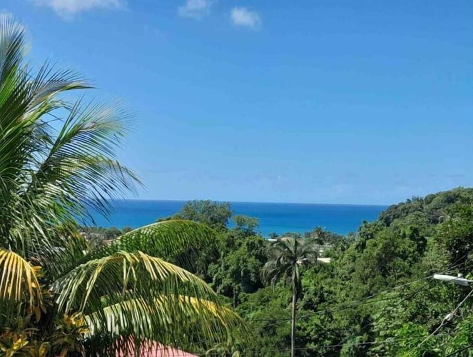 Beach/ocean view