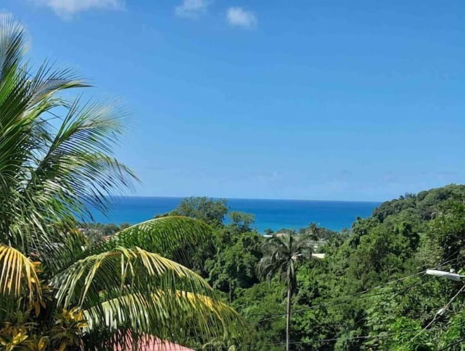 Beach/ocean view
