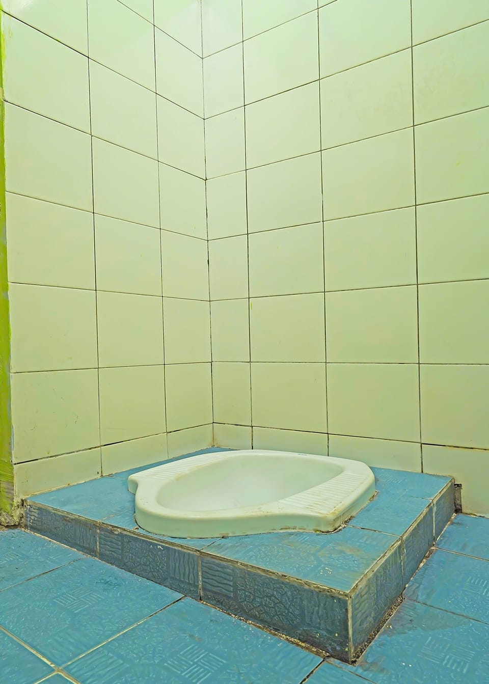 Shower, towels, toilet paper