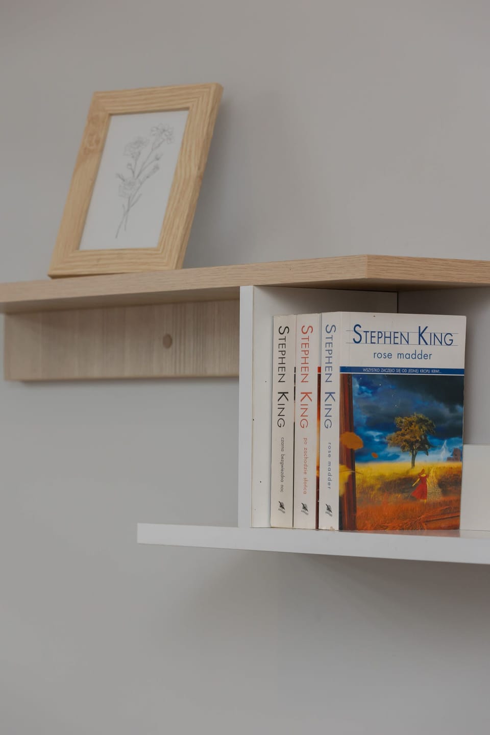 Additional apartment amenity - books on the shelf.