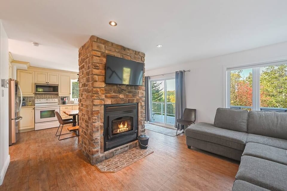 Living room and wood fireplace (1)
