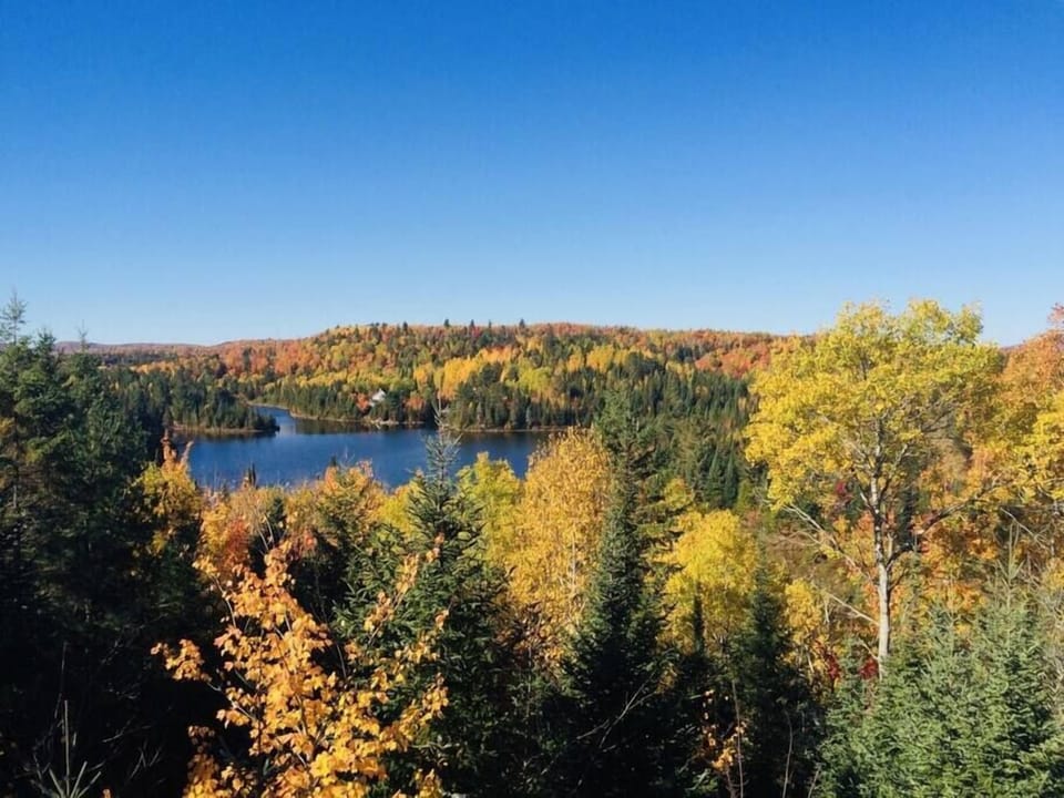Lake view
