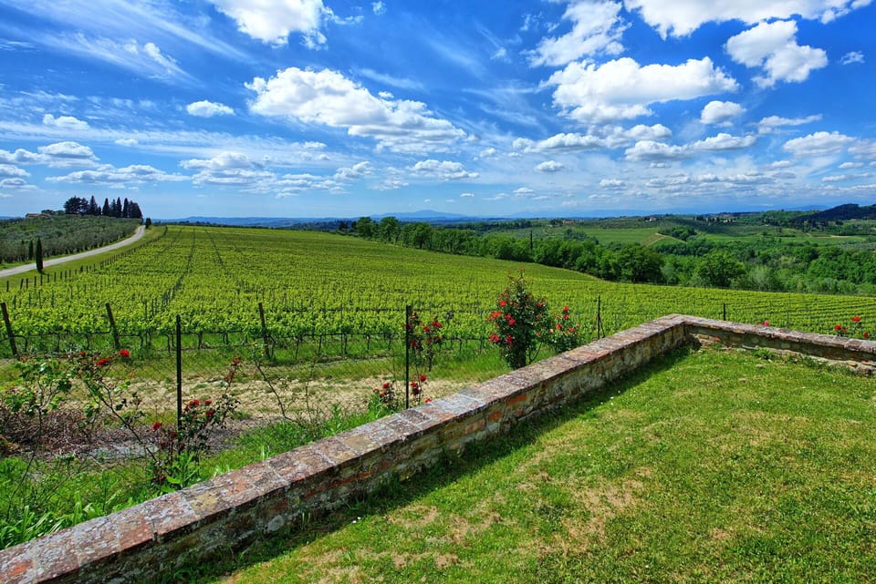 Scenic View