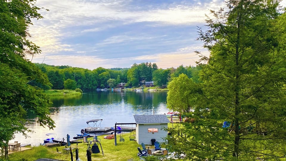 Backyard view