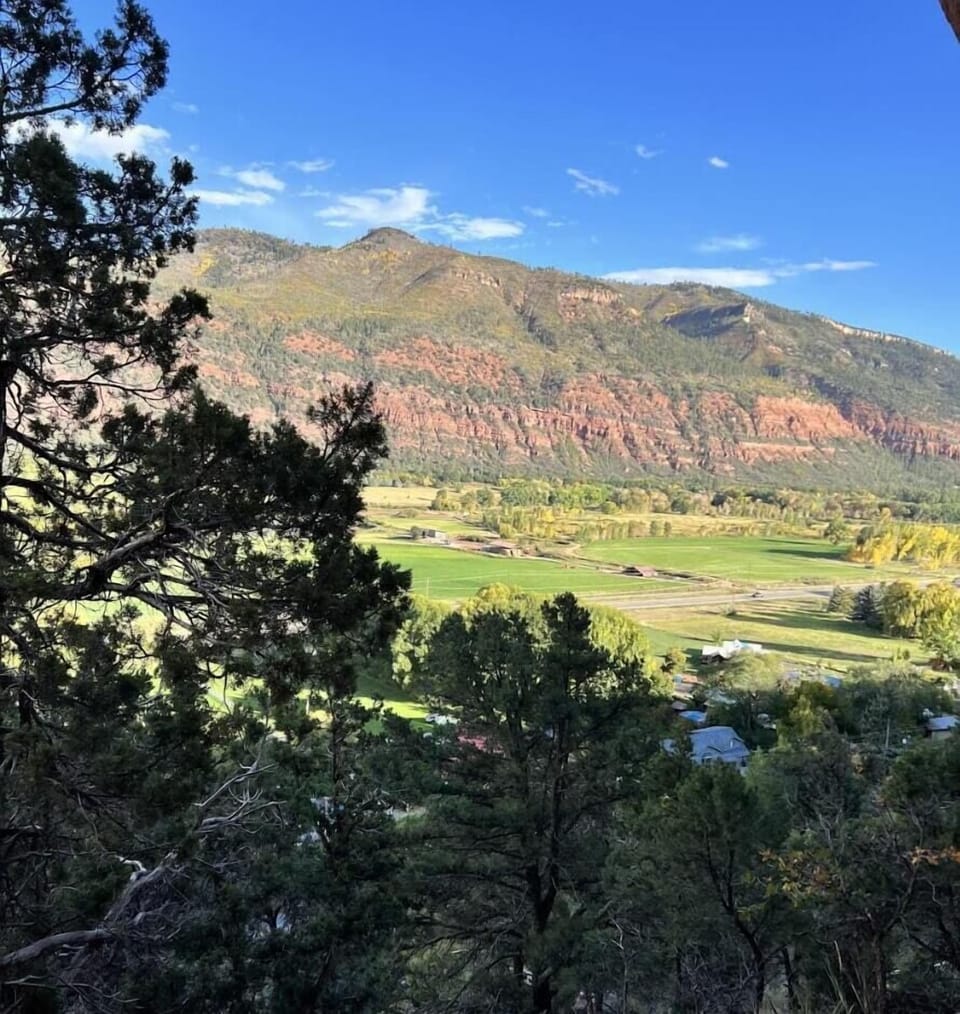 Views from the top of the property (only a 200 yard hike)