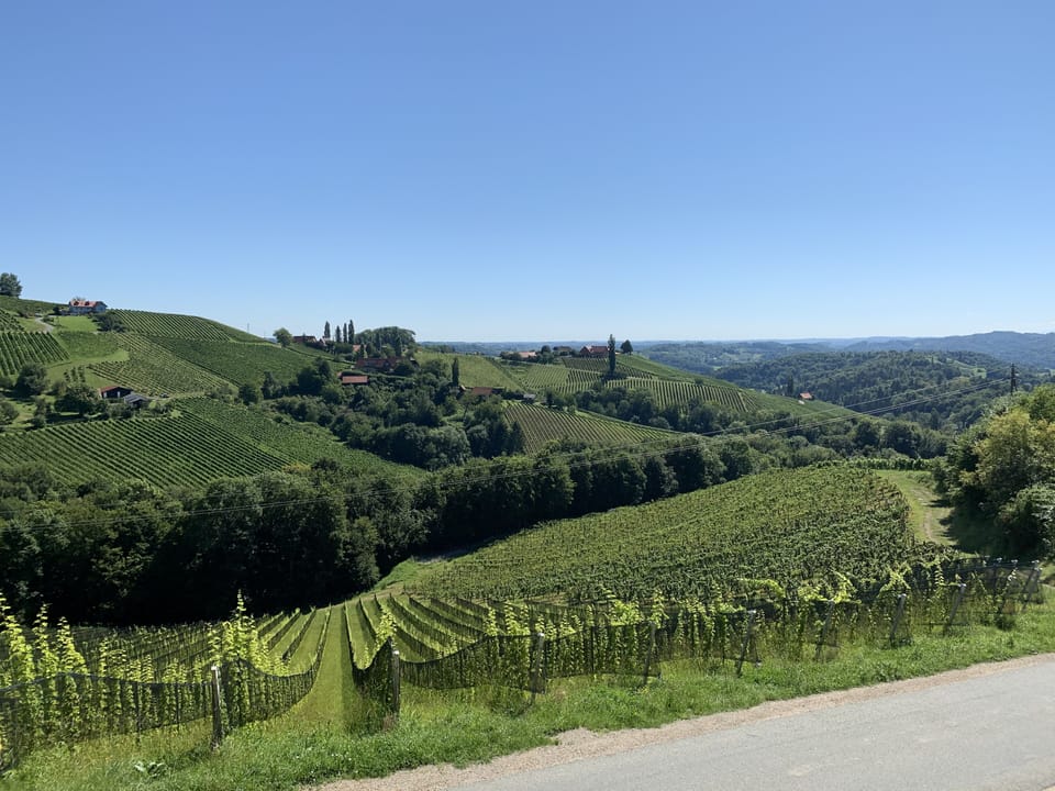 Panoramic Apartment | Vineyard view