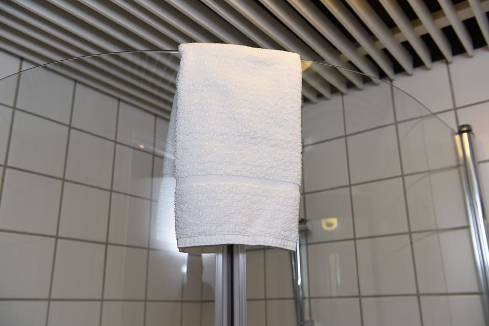 Combined shower/tub, hair dryer, towels, soap