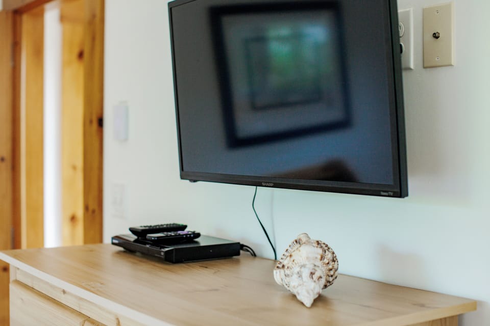 Television