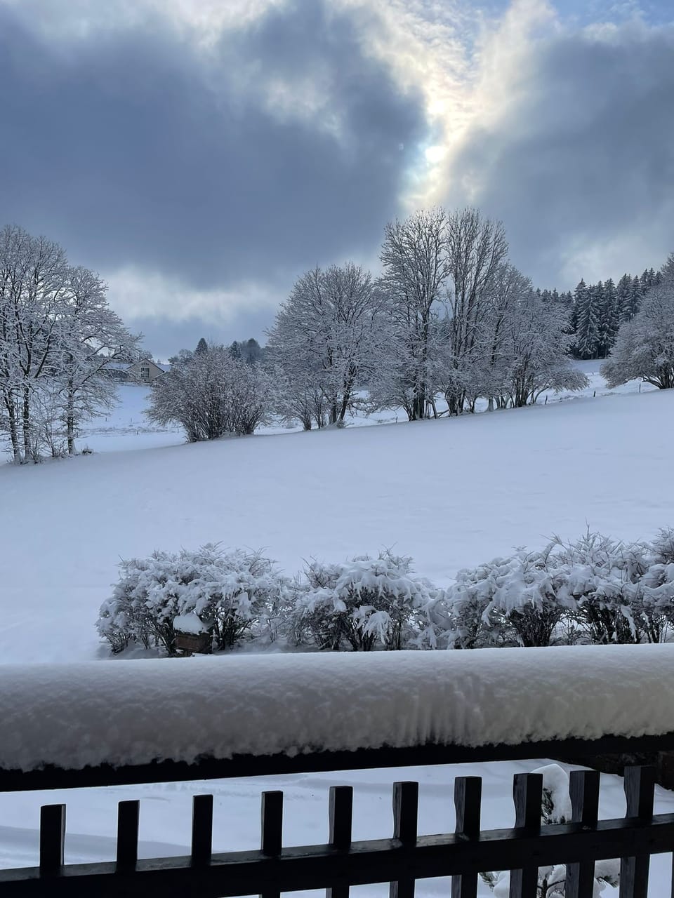 View from property