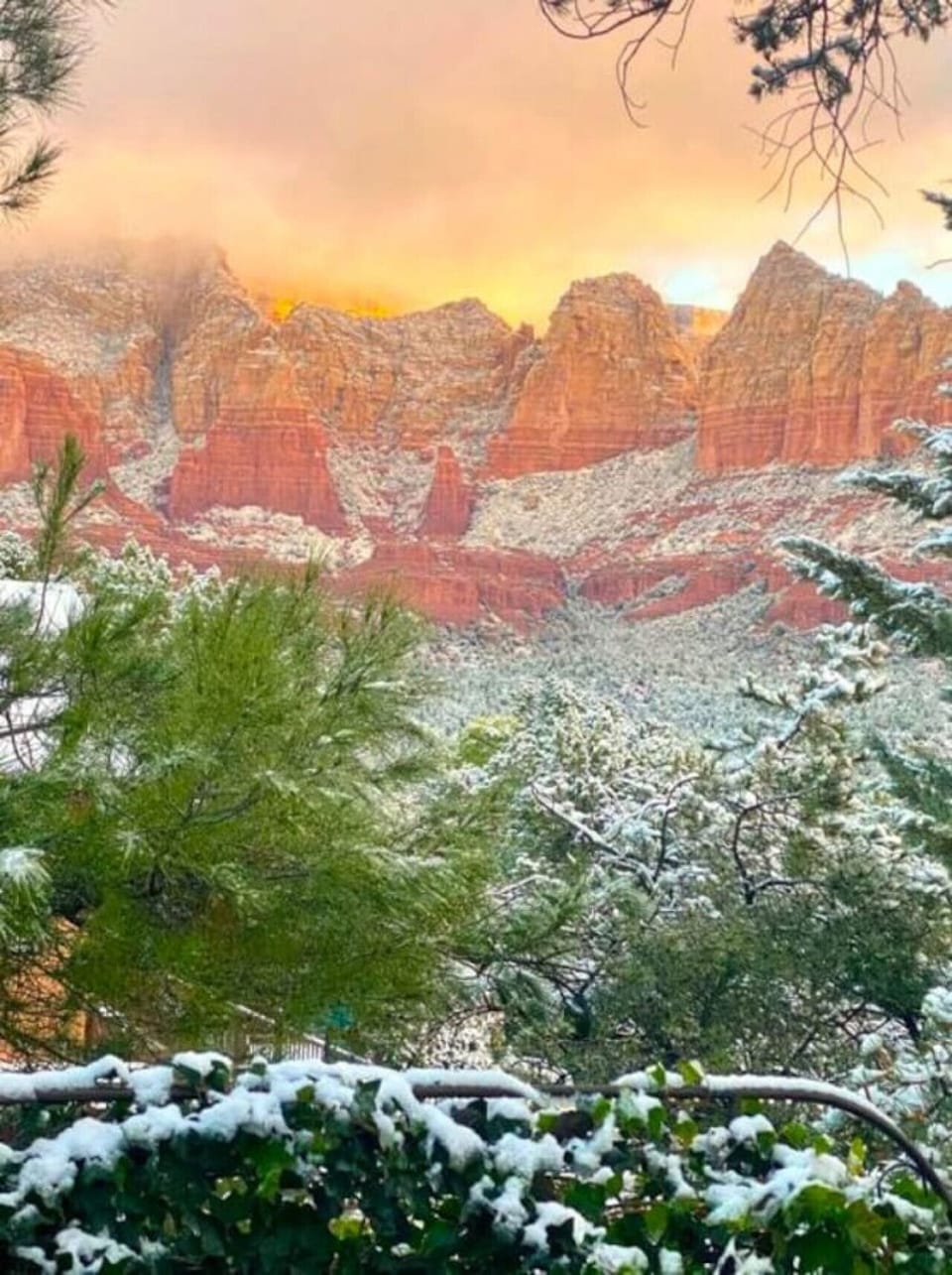 View from the deck during rare winter snowfall.
