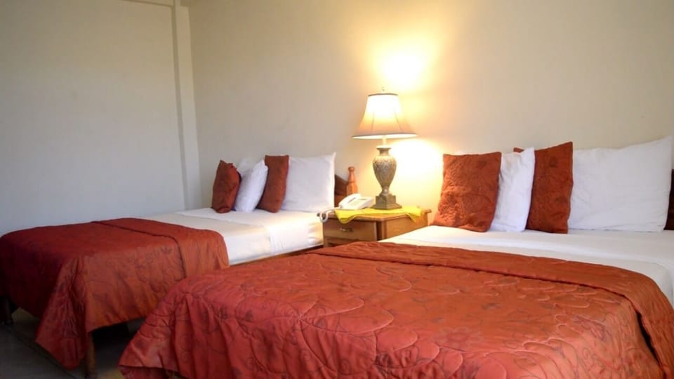 Basic Double Room | WiFi (free)