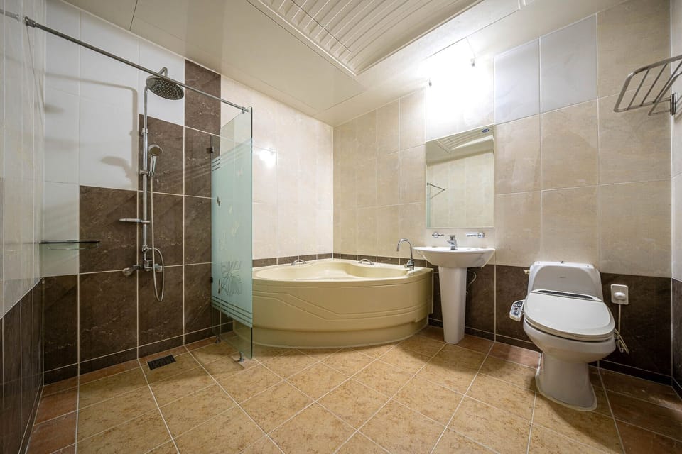 Premium Double Room | Bathroom | Separate tub and shower, jetted tub, hydromassage showerhead, hair dryer