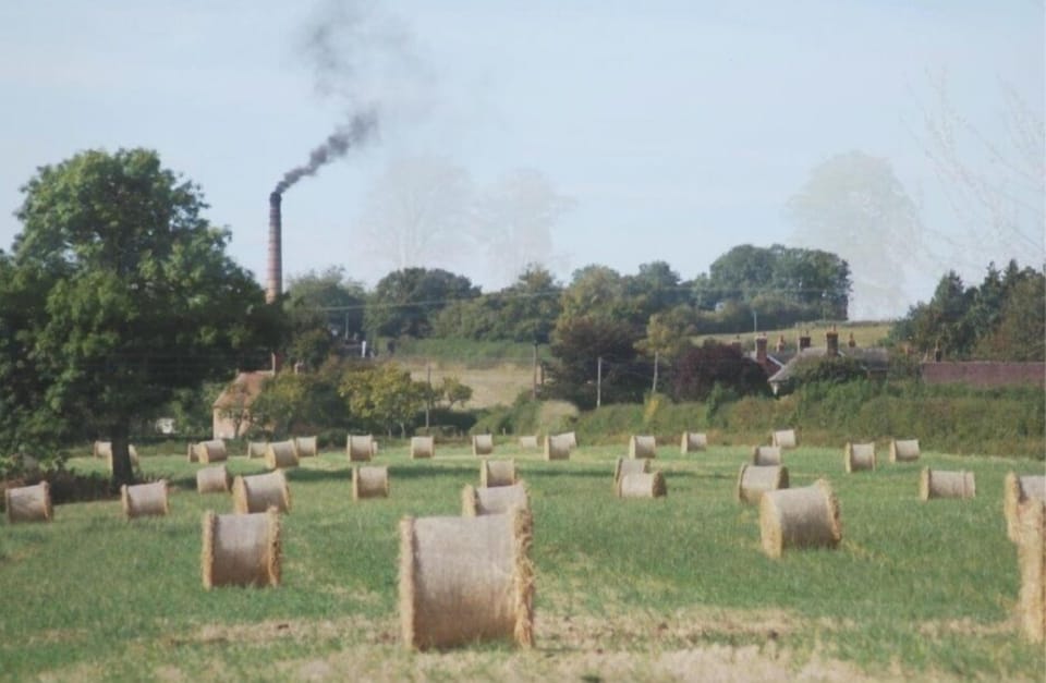 Image 12