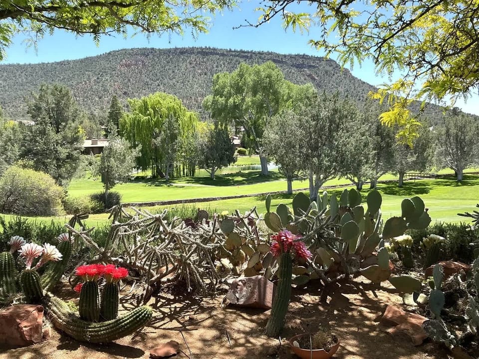 Beautifully landscaped greenery and mesa views from the front deck