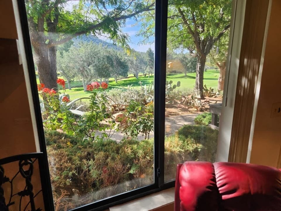 View from Living Room