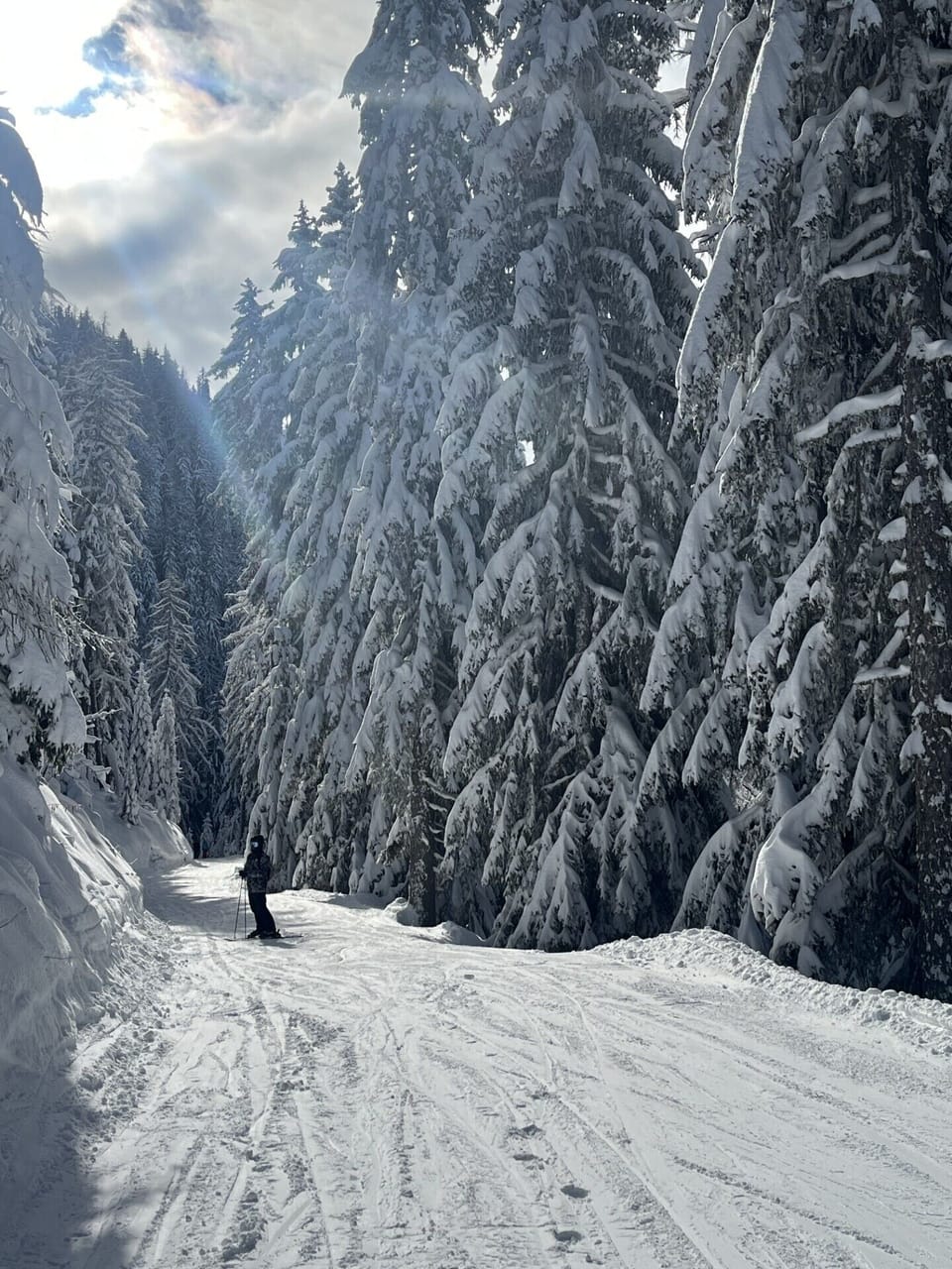Snow and ski sports