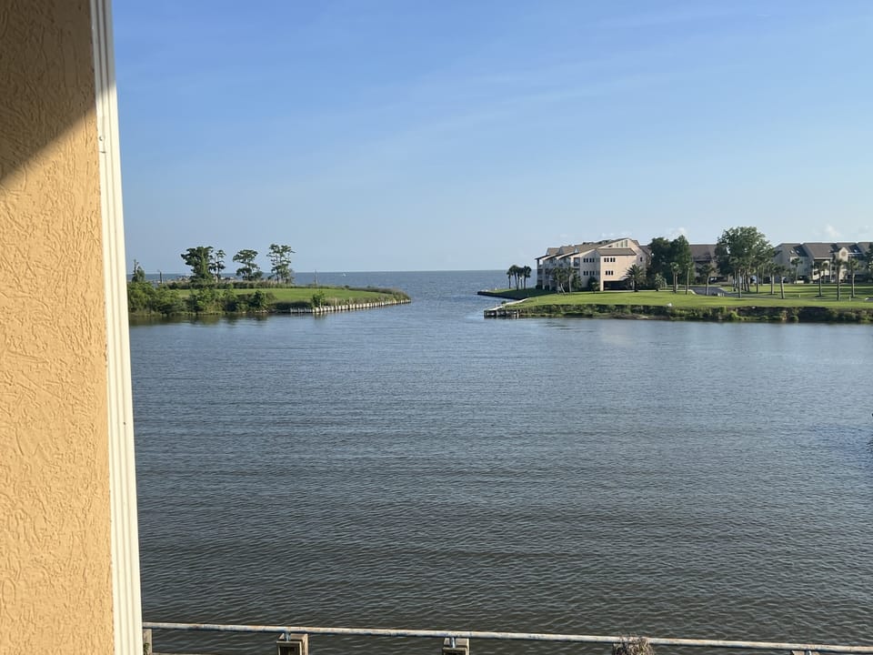 View from Porch