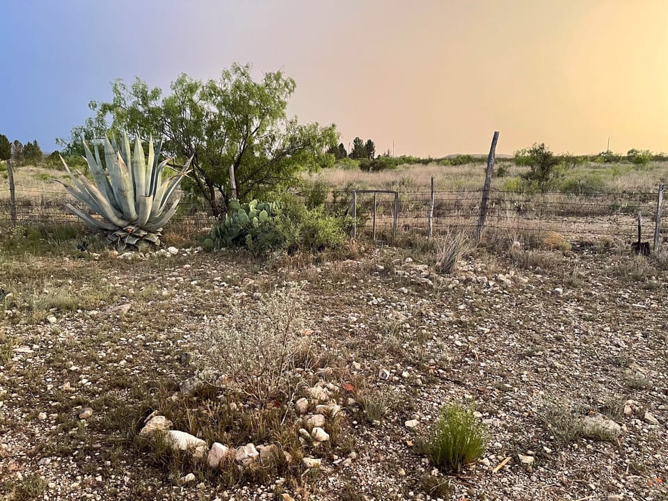 property grounds and native plants