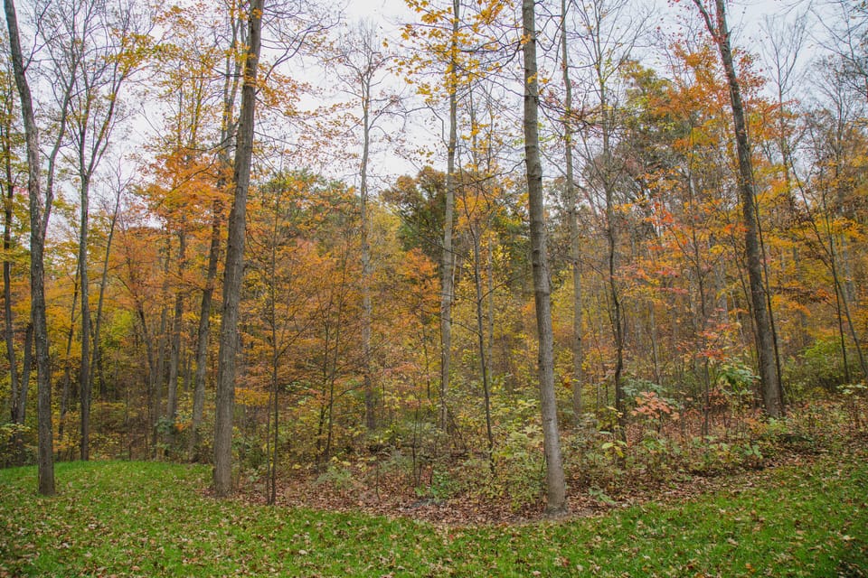 Walk down the road and connect to the Clear Fork Valley Scenic Trail (CFVST) It's a natural corridor of hiking trails located in southern Richland County.  The trail meanders through over 600 acres of nature preserves between Malabar Farm and the Richland B&O Trail. 