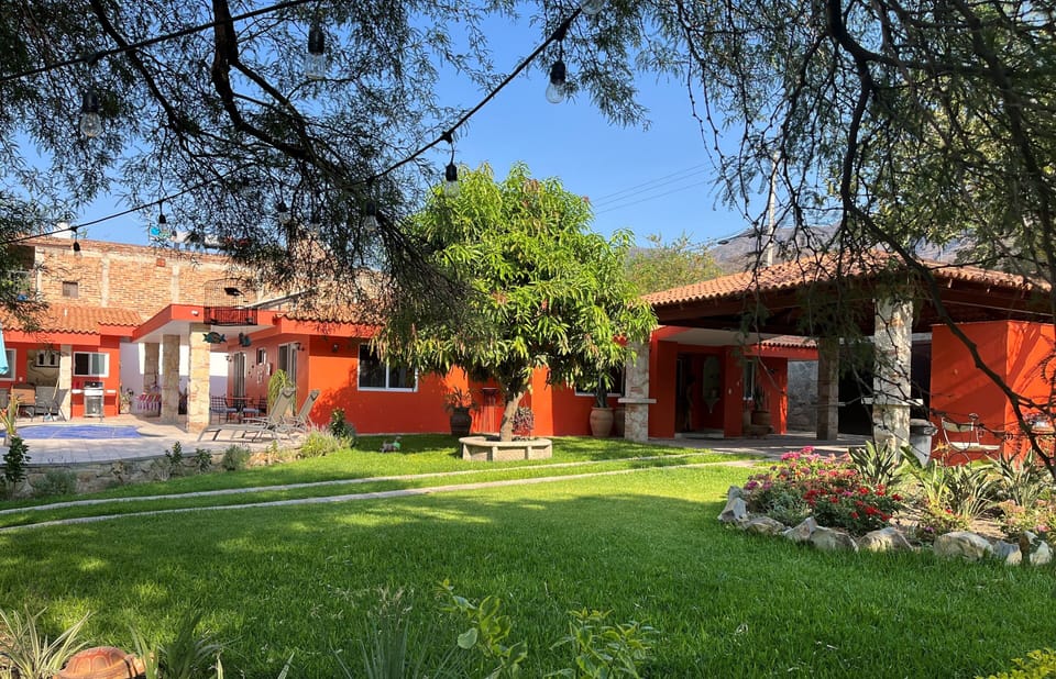 You see one of the mesquite trees at the top, and a mango tree in the middle.