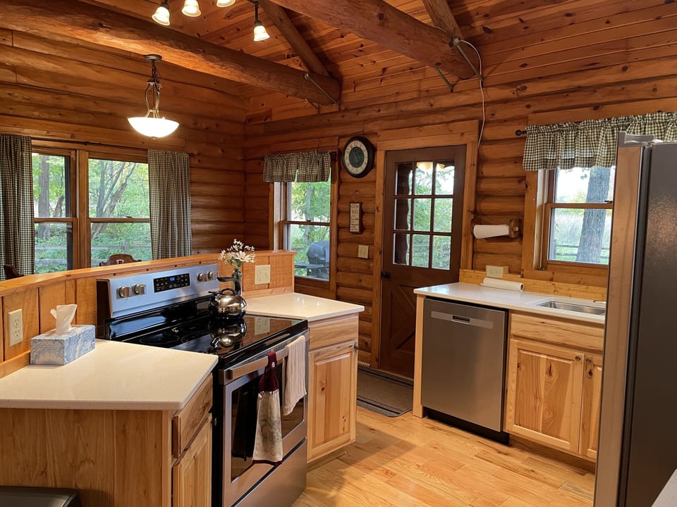 Electric stove and dishwasher