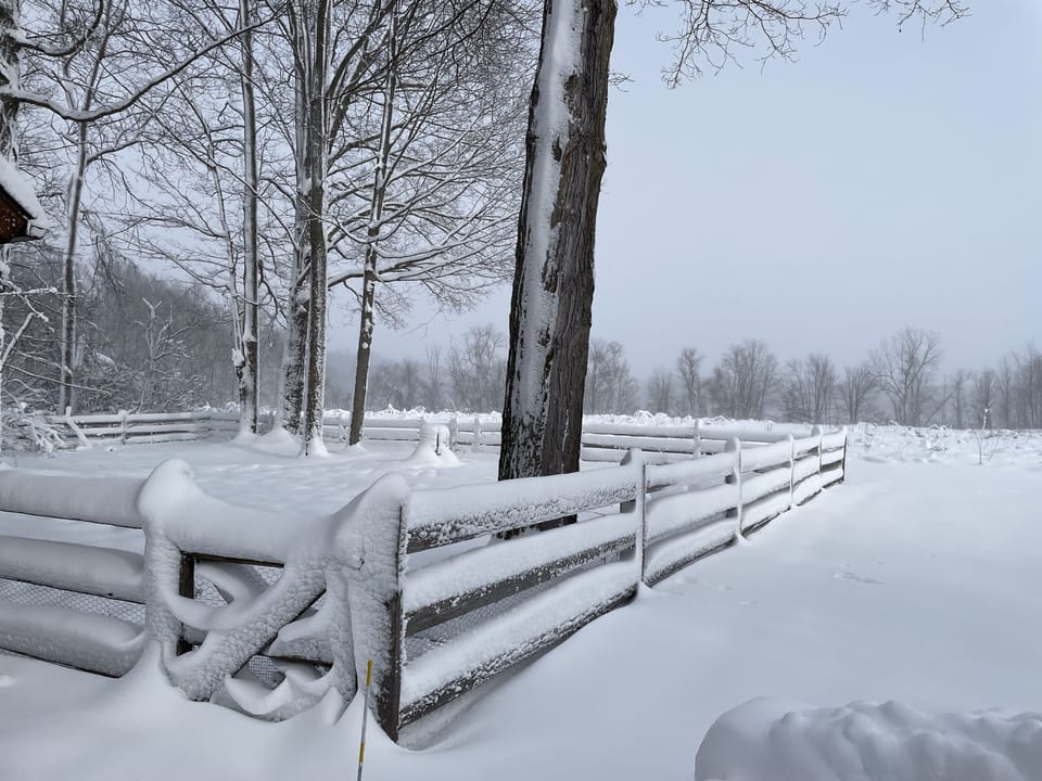 Winter