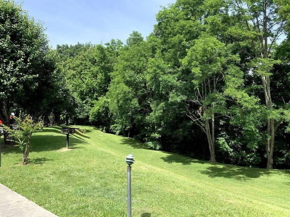 : Experience serene nature views and barbecue bliss right from your doorstep!