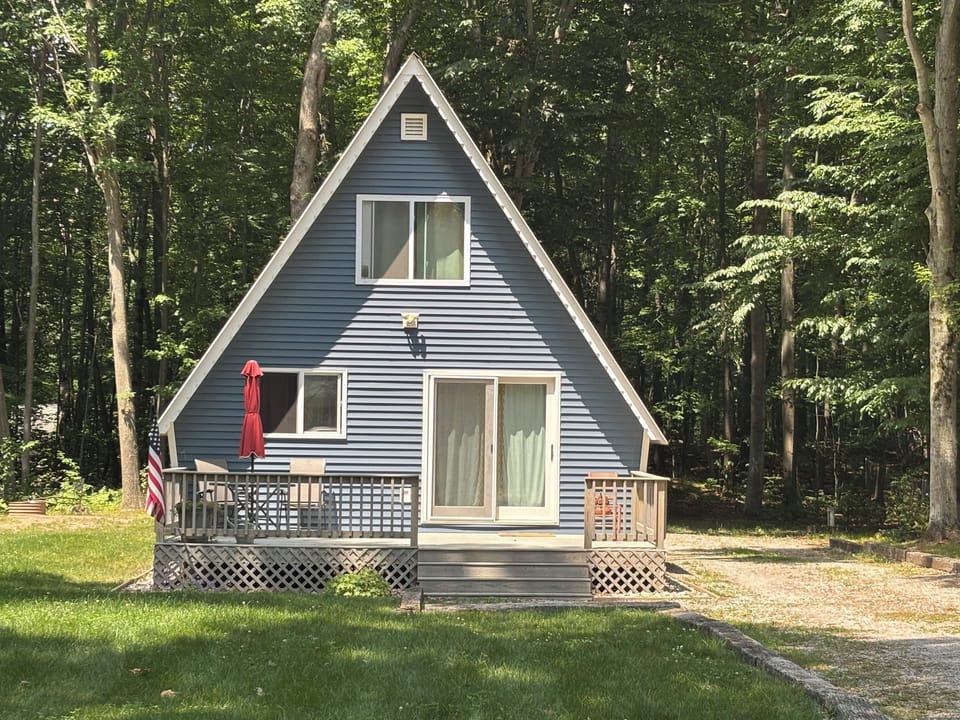 Peaceful sunny yard!