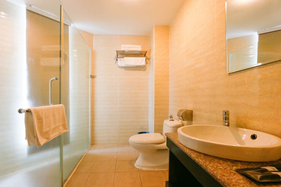 Superior Suite | Bathroom | Shower, rainfall showerhead, free toiletries, hair dryer