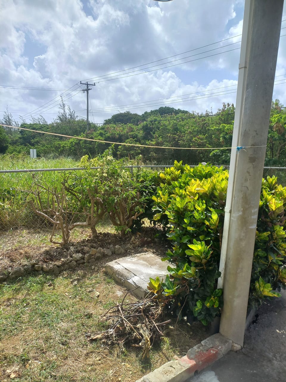 Property grounds