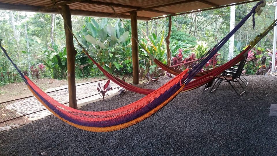 Hammocks