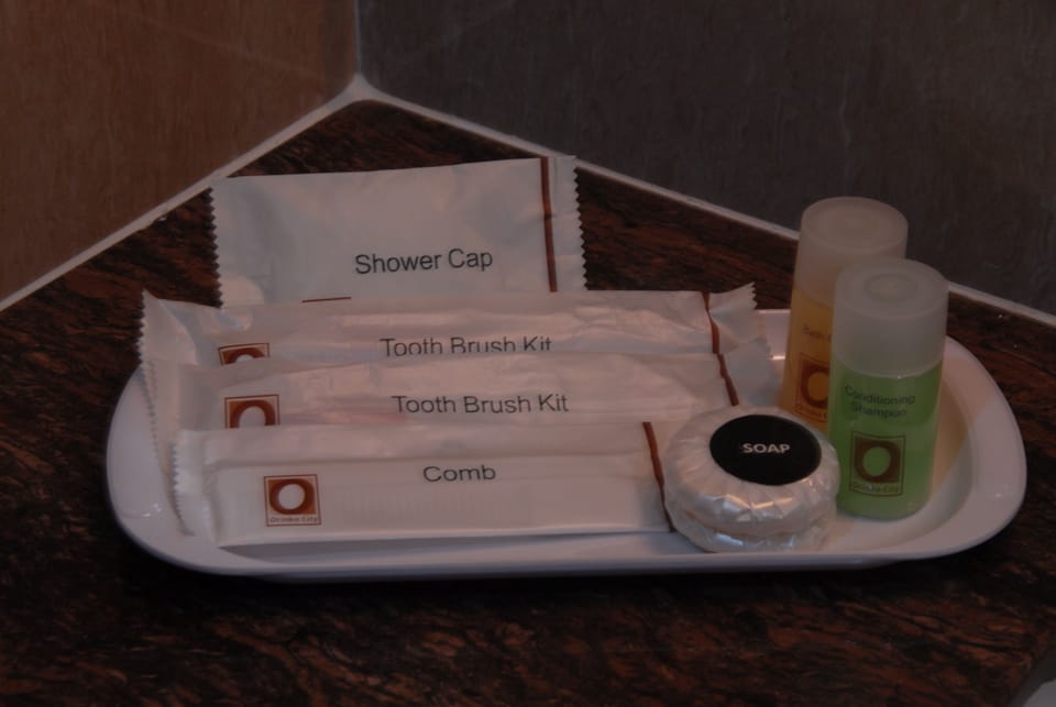 Shower, free toiletries, hair dryer (on request), slippers