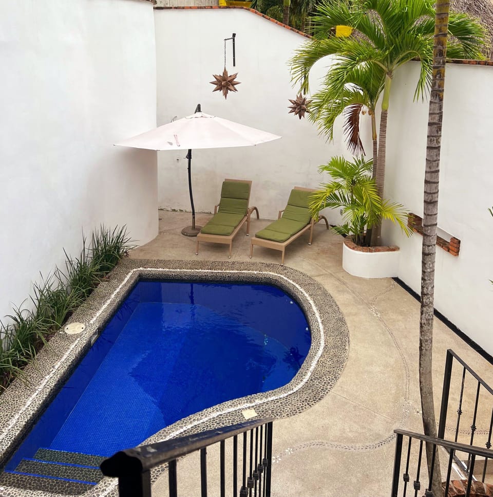 View from palapa to pool