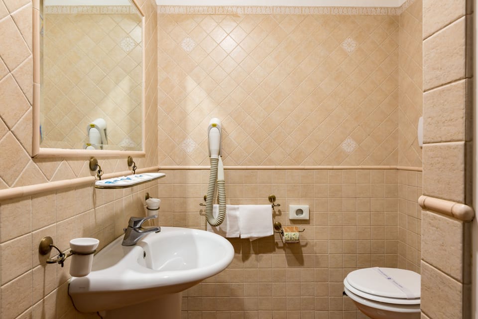 Shower, free toiletries, hair dryer, bidet