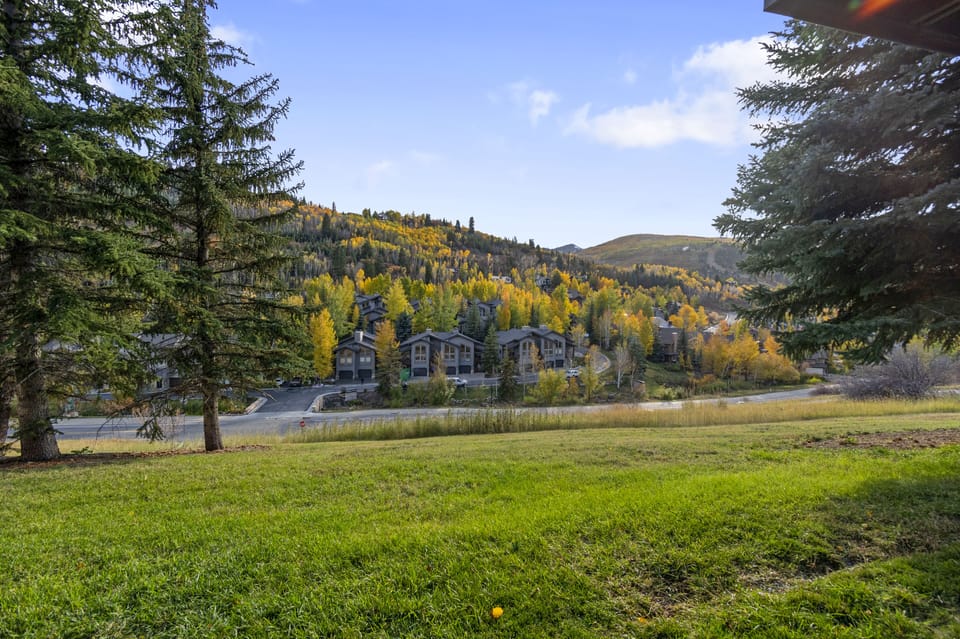 Expansive backyard with lush greenery and breathtaking mountain views.