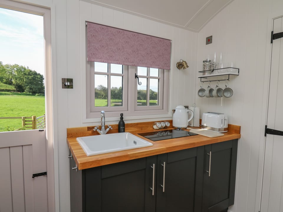 Fridge, cookware/dishes/utensils
