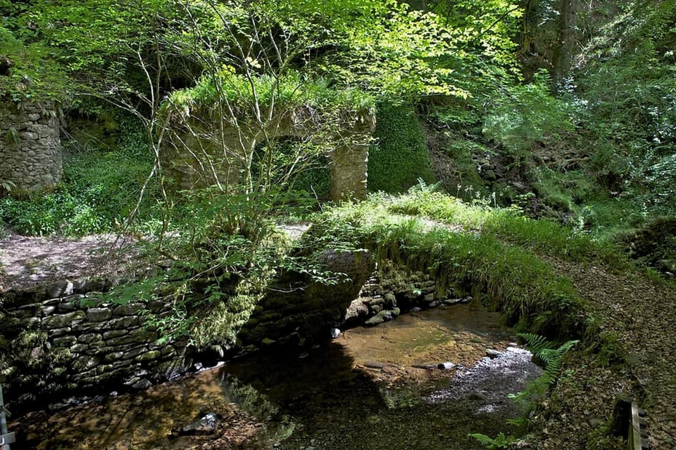 Chalet | Property grounds