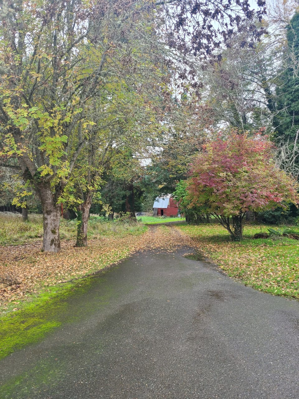 This is the driveway.