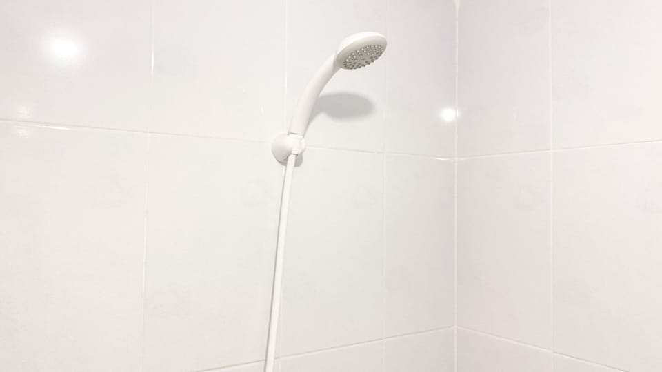 Apartment | Bathroom | Shower, towels