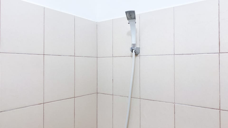 Studio | Bathroom | Shower, towels