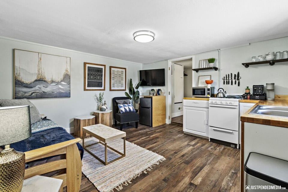 Living Space With Pullout Couch