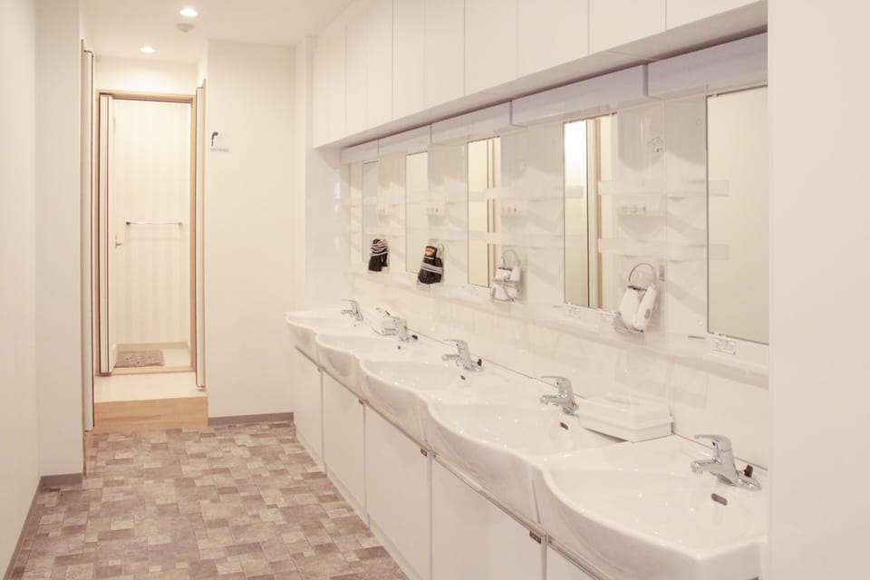 Shower, free toiletries, hair dryer, electronic bidet