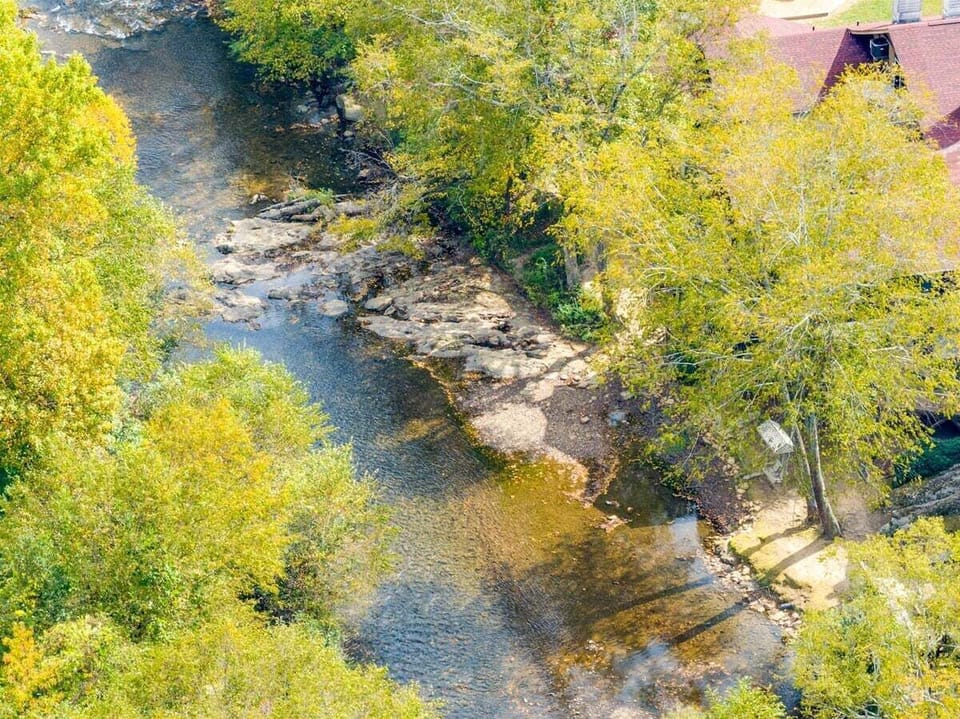 Aerial view of river