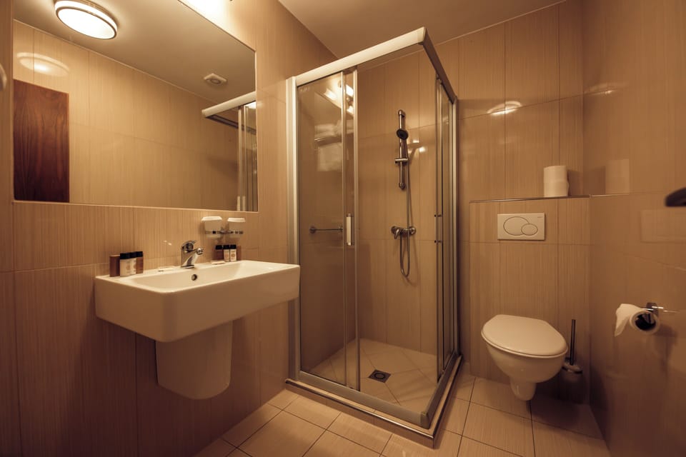 Standard Double or Twin Room | Bathroom | Shower, free toiletries, hair dryer, bathrobes