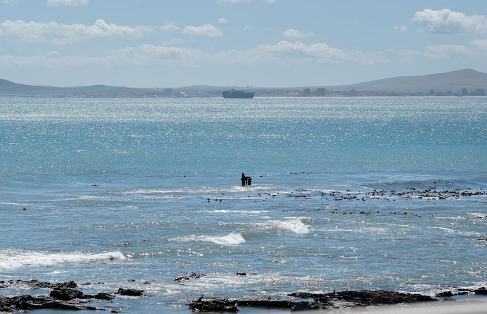 Apartment (0 Bedroom) | Interior