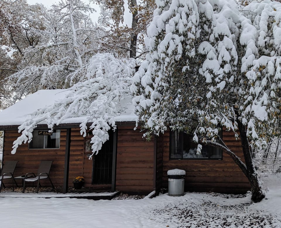 Winter