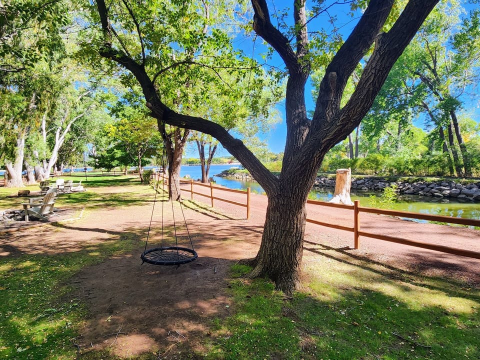 Park Area with BBQ Grills