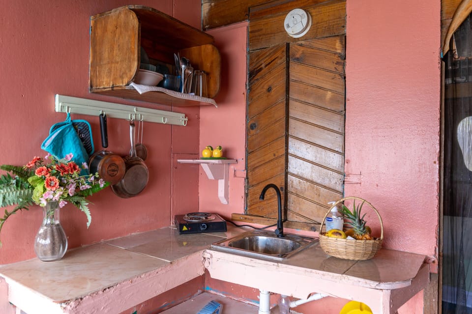 Full-size fridge, microwave, stovetop, blender